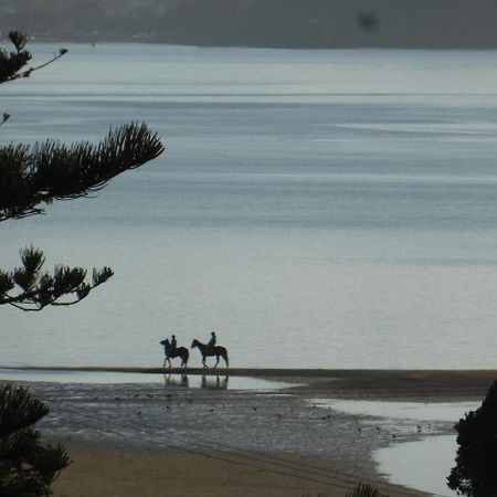 Changing Tides Bnb Paihia Dış mekan fotoğraf